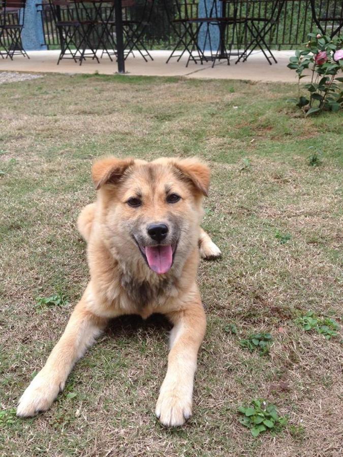Diem Dung Chan Can Ty Ha Giang Exterior photo