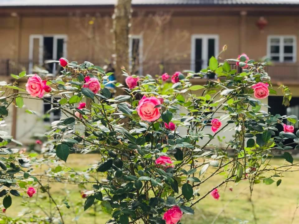 Diem Dung Chan Can Ty Ha Giang Exterior photo